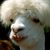 Comment author avatar placeholder